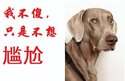 ​知渊中之鱼者不祥