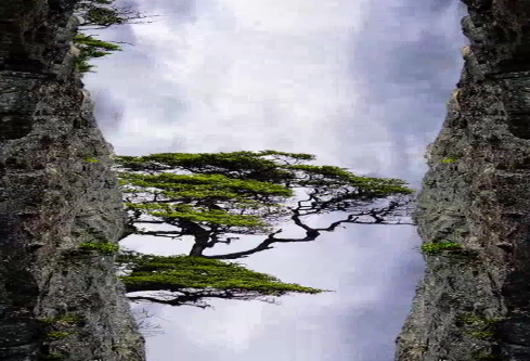 1686704454862631.png image.png