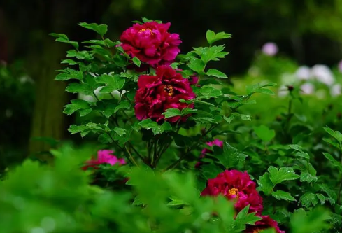 1686704961853730.png image.png