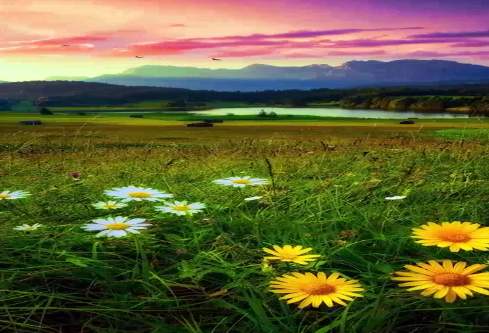 1686706637824138.png image.png