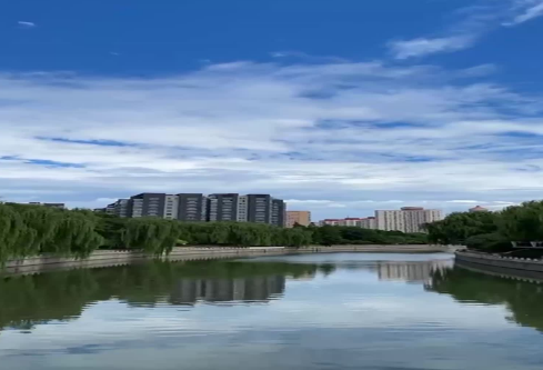 1686707635345595.png image.png