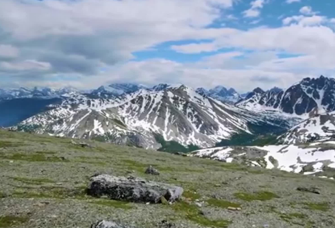 1686708303609659.png image.png