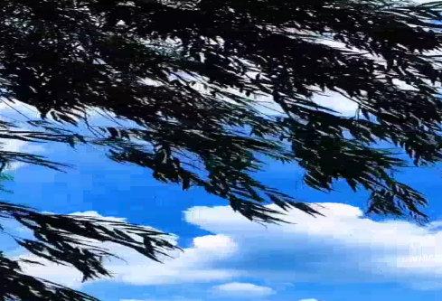 1686709309365270.png image.png