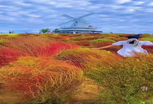 1686709642139225.png image.png