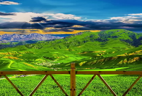 1686713317685307.png image.png