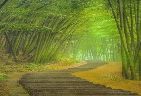 1686714149867144.png image.png