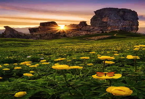 1686714815926443.png image.png