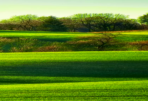 1686714982397070.png image.png