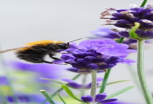 1686720330548781.png image.png