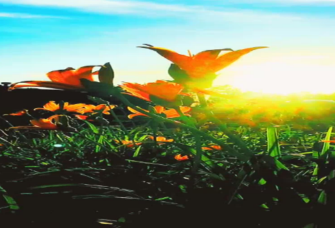 1686720496215502.png image.png