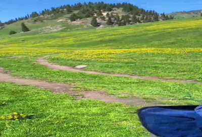 ​描写老师外貌的句子大全144个