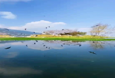 ​看破红尘的句子大全252句