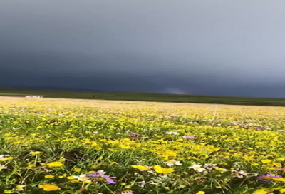 ​怀念童年的句子175个