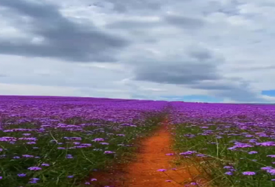 ​毕业的句子简单到哭的最新版260个