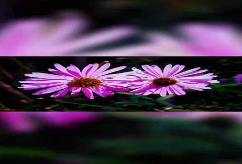 1686724825947300.png image.png