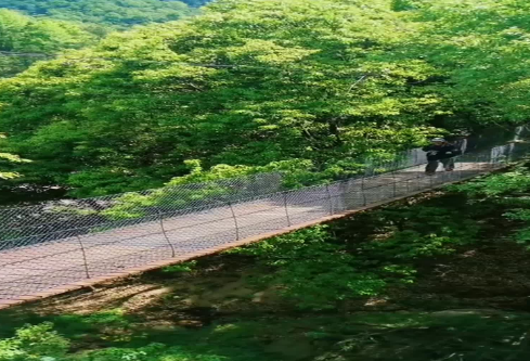 1686724992724706.png image.png