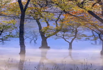 ​感触很深的句子189个