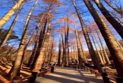 ​生活简单而快乐的句子223句