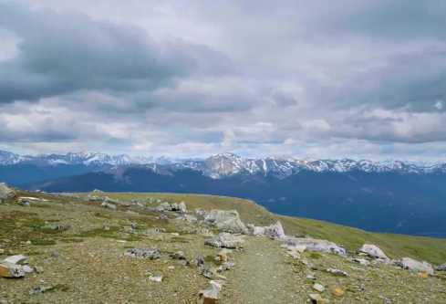 1686731988105546.png image.png