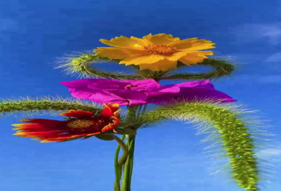 ​生活中太多无奈的句子218个