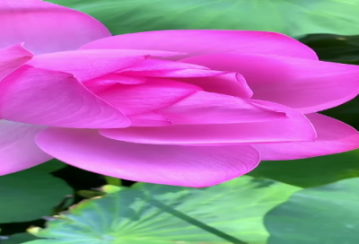 ​找回迷失的自己的句子231句