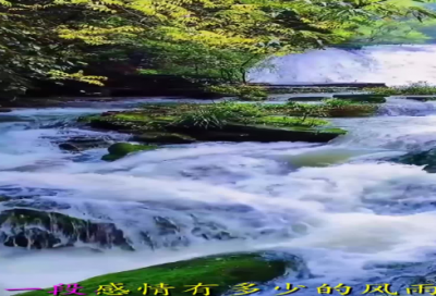 ​赞美劳动的句子175个