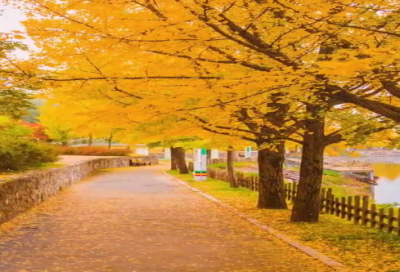 ​结束假期的收心的句子226个