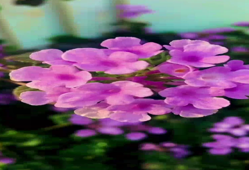 1686733986269122.png image.png