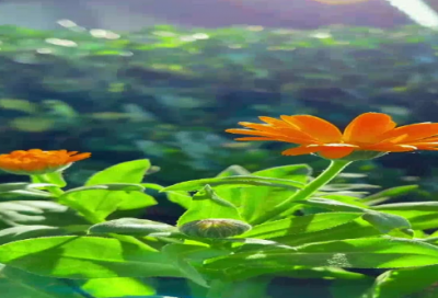 ​三月再见四月你好说说句子大全200个