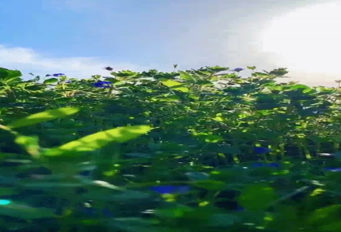 1686736153695862.png image.png