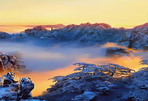 1686736653377599.png image.png