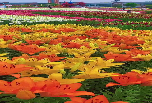 1686739651903009.png image.png