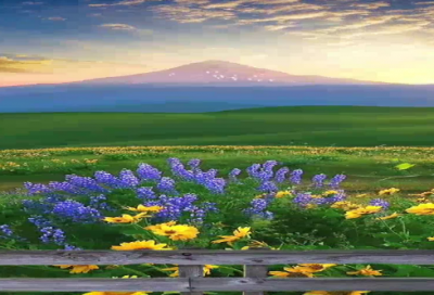 ​立秋唯美的句子159个