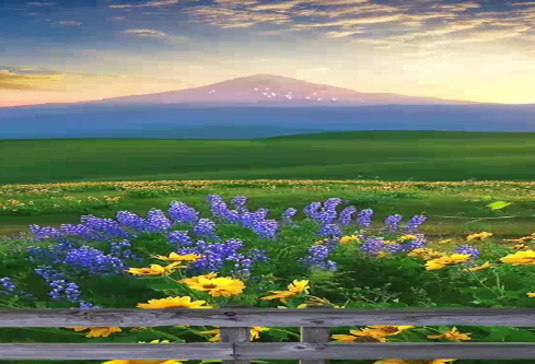 1686739817999360.png image.png