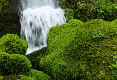 ​适合跨年夜发朋友圈的句子218个