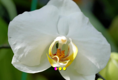 ​描写雨天心情的句子160个