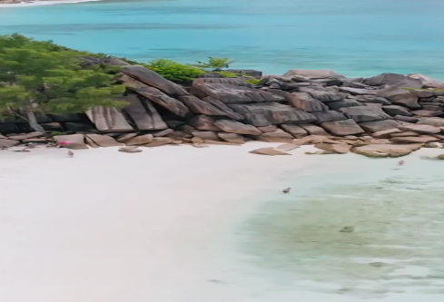 1686742980870609.png image.png