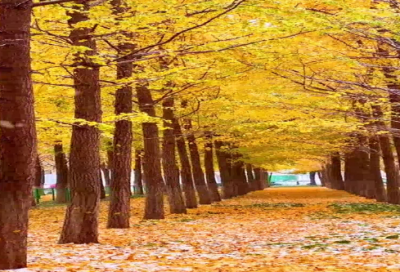 ​描写雪景的唯美句子168句