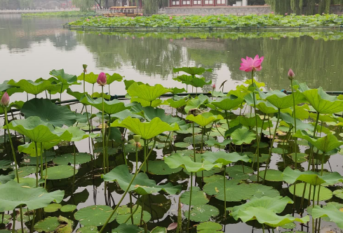 1686745811116608.png image.png