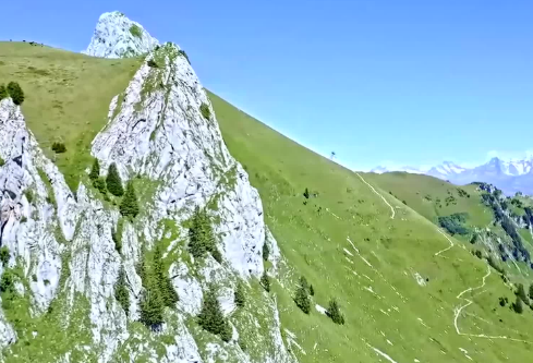 1686745977170711.png image.png