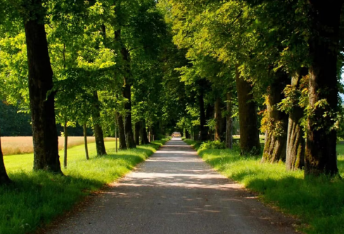 1686746477605176.png image.png