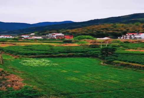 1686749640547028.png image.png