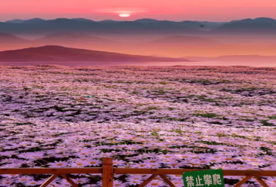 ​关于爱的句子166个