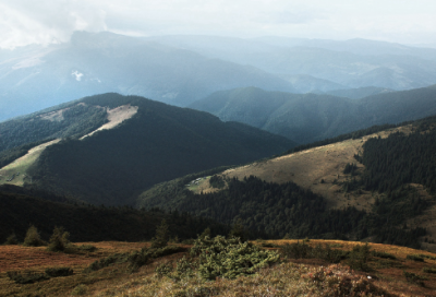 ​未来可期的正能量句子212句