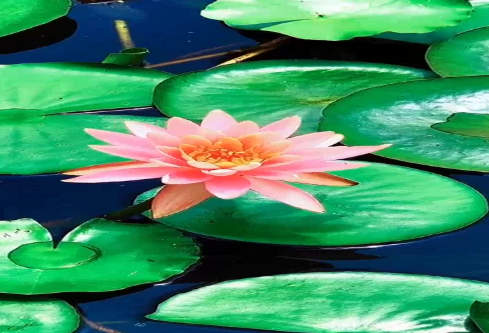 1686757135390761.png image.png