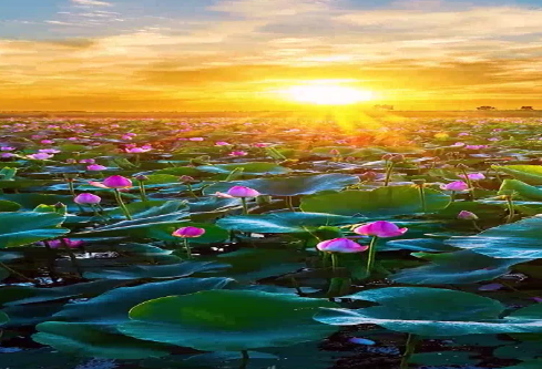 1686757302765505.png image.png