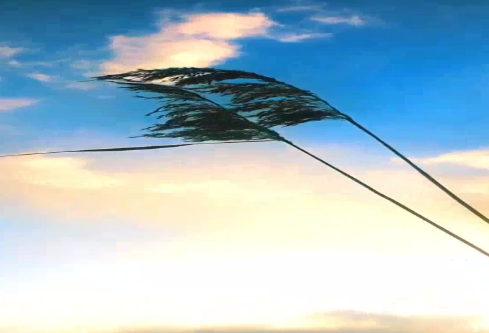 1686759468245201.png image.png