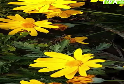 1686759801455848.png image.png