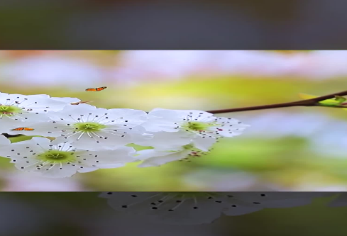 1686760134465476.png image.png