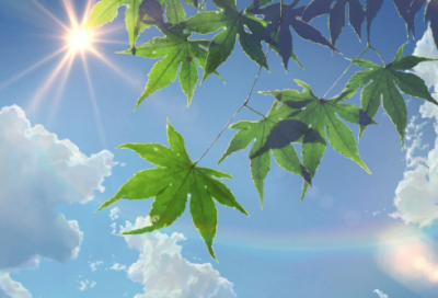 ​今日立春的感悟句子104个